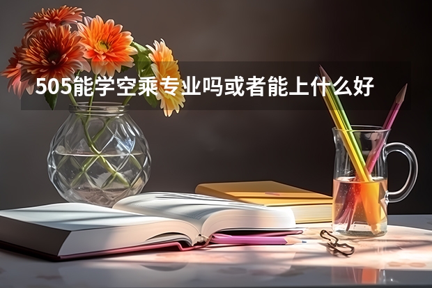 505能学空乘专业吗或者能上什么好学校最好是南方的我是山东的