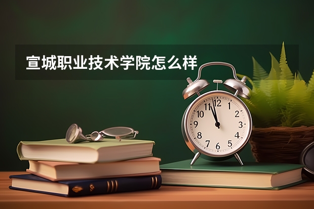 宣城职业技术学院怎么样