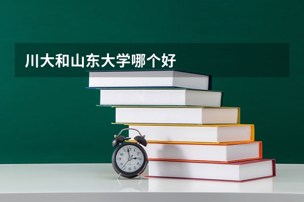 川大和山东大学哪个好