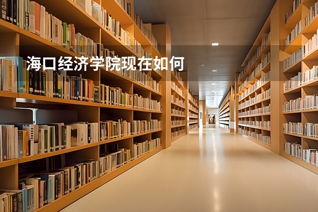 海口经济学院现在如何