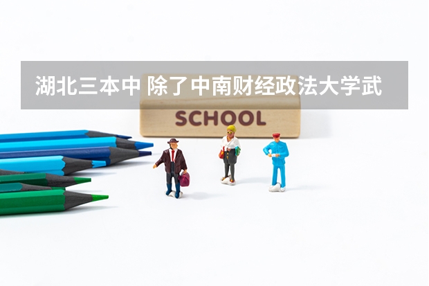 湖北三本中 除了中南财经政法大学武汉学院的会计专业好外还有哪个学校?