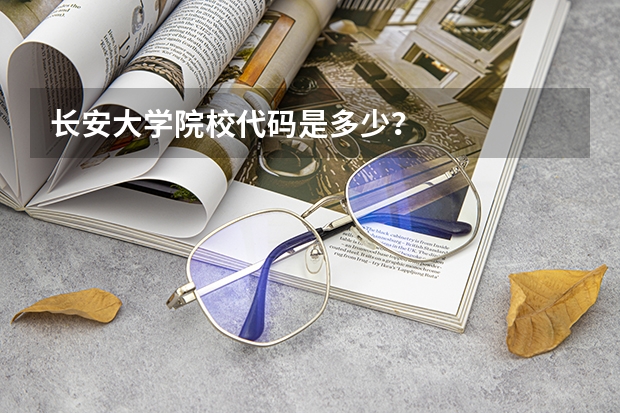 长安大学院校代码是多少?