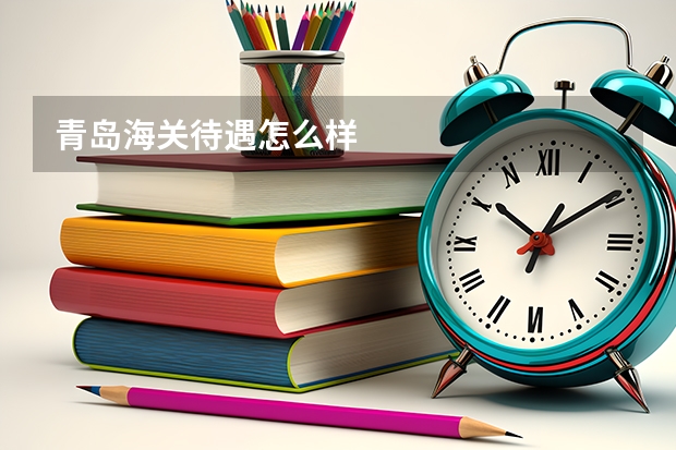 青岛海关待遇怎么样